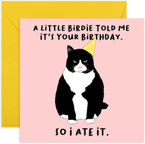 Hilarious Birthday Cards, Gratitude Cards, Happy Birthday Friend, Cat Birthday Card, Mom Cards, Funny Birthday Card, Birthday Cards For Her, Cat Cards, Cat Birthday