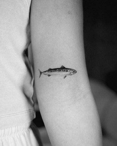 Tiny little Mackerel for Ayala! . . #microrealism #tinytattoos #mackerel #fishtattoo #finelinetattoo #singleneedletattoo Minnow Tattoo, Microrealism Tattoo, Single Needle Tattoo, Fine Line Tattoos, August 1, Tiny Tattoos, Fish Tattoos, Art Tattoo, Tattoos