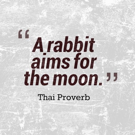 A rabbit aims for the moon. Thai proverb Thai Proverbs, Ancient Proverbs, Life Proverbs, Moon Rabbit, Mandarin Language, Thai Quote, Motivational Sayings, Proverbs Quotes, Pictures Quotes