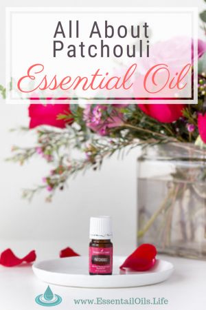 Looking for info about patchouli essential oil? This article has excellent information cultivated for you about what Patchouli is, favorite ways to use it, DIY diffuser recipes, and where to find quality patchouli essential oil to purchase for your oils collection Patchouli Essential Oil Uses, Diy Diffuser Blends, Diy Diffuser, Cooling Spray, Plant Therapy Essential Oils, Sandalwood Essential Oil, Essential Oil Diffuser Recipes, Patchouli Oil, Patchouli Essential Oil