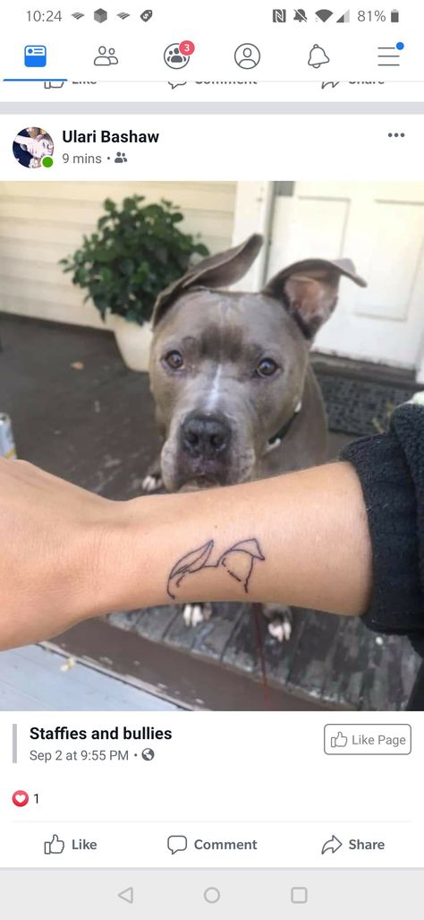 Pitbull Ear Tattoo, People With Anger Issues, Pitbull Ear Outline Tattoo, Dog Ear Outline Tattoo, Pitbull Tattoos, Ear Outline Tattoo, Dog Outline Tattoo, Dog Ear Outline, Ear Outline