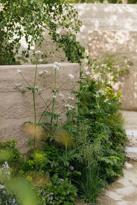 Chelsea Flower Show 2022: The trends to watch from this year's gardens event | House & Garden Chelsea Garden Show 2023, Chelsea Flower Show 2022, Chelsea Flower Show 2023, Chelsea Flower Show Gardens, Event House, Naturalistic Garden, Chelsea Garden, Sunken Garden, Uk Photos