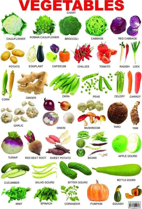 Vegetables Name, Indian Money, Fruits Name In English, Vegetable Chart, Animal Pictures For Kids, Preschool Charts, Fruit Names, Pumpkin Squash, Red Beets