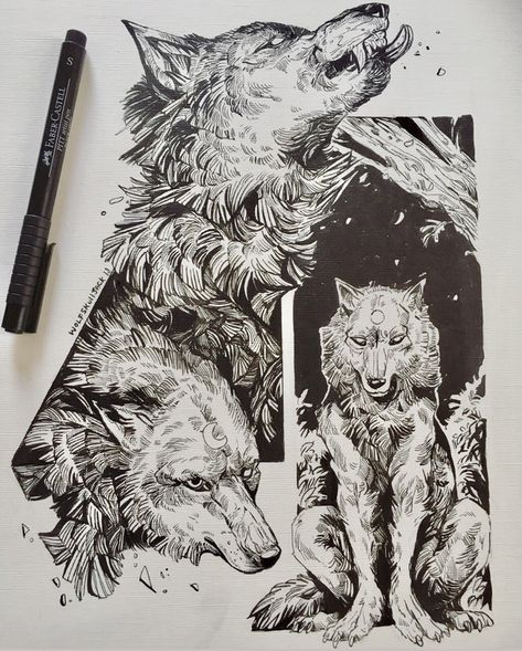 Phases Original Ink Animal Drawings, Props Art, The Turning, The Wilds, Canine Art, Art Folder, Arte Sketchbook, Sketchbook Inspiration, Ink Illustrations