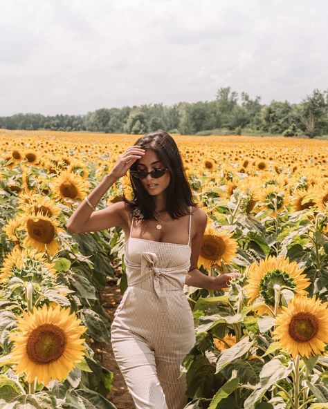 Sunflower Field Photography, Sunflower Field Pictures, Sunflower Photography, Cow Boys, Sunflower Photo, Flower Photoshoot, Sunflower Pictures, Shotting Photo, Photographie Portrait Inspiration