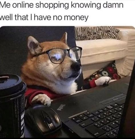 Working From Home Meme, Lifting Memes, Workplace Humor, Funny Dog Memes, Camping Humor, In Memes, Work Memes, Funny Animal Memes, Work Humor