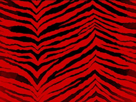 Red / Black Zebra Background Myspace Backgrounds, Zebra Background, Girly Backgrounds, Pretty Background, Backgrounds Girly, Desktop Wallpaper Pattern, Girl Background, Pretty Backgrounds, Jungle Safari