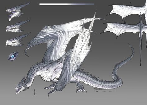 Dragon Poses, Dragon Anatomy, Got Dragons, Dragon Artwork Fantasy, Targaryen Art, Light Pattern, Fantasy Beasts, Dragon Rider, Gambar Figur