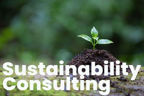 Green Business Ideas, Environmental Consultant, Sustainability Consulting, Sustainable Supply Chain, Capacity Building, Net Zero, Business Models, Green Tech, Portfolio Management