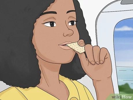 How to Prevent Air Sickness on a Plane (with Pictures) - wikiHow Food For Nausea, Sick Hacks, Get Rid Of Nausea, Travel By Plane, How To Help Nausea, Airplane Kids, Altitude Sickness, Motion Sickness, By Plane