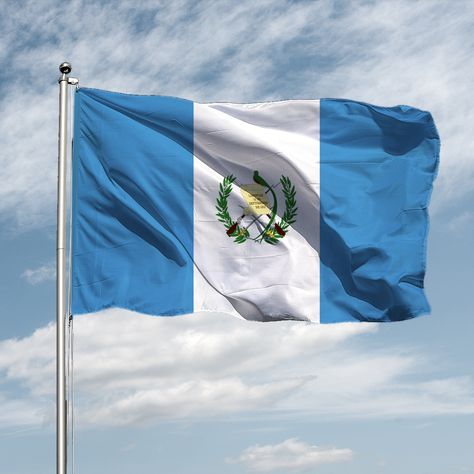 Guatemala Flag, Eu Flag, Guatemala, Country Flags, Flag, Collage, Iphone, Pins, Quick Saves