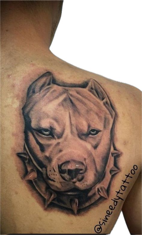 Pitbull Tattoo For Men, Traditional Tattoo Horse, Pit Tattoo, Pit Bull Tattoo, Pitbull Tattoos, Upper Half Sleeve Tattoos, Bull Tattoo, Tato Tradisional, Dog Tattoo Ideas