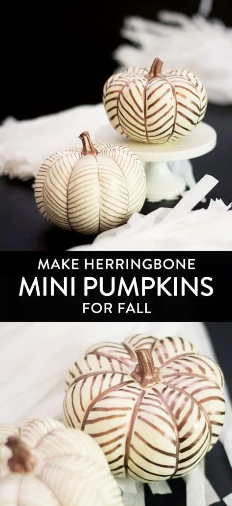 A pretty and fun no-carve pumpkin decor idea for Halloween! Use rose gold paint pens to paint gorgeous herringbone patterns on white mini pumpkins. Click to see the modern, simple tutorial and get the link to the best gold pens. Mini Pumpkin Decorating, Rose Gold Paint, Idea For Halloween, Modern Fall Decor, Rose Gold Painting, Easy Pumpkin Carving, Gold Pen, Mason Jar Crafts Diy, Pumpkin Decor