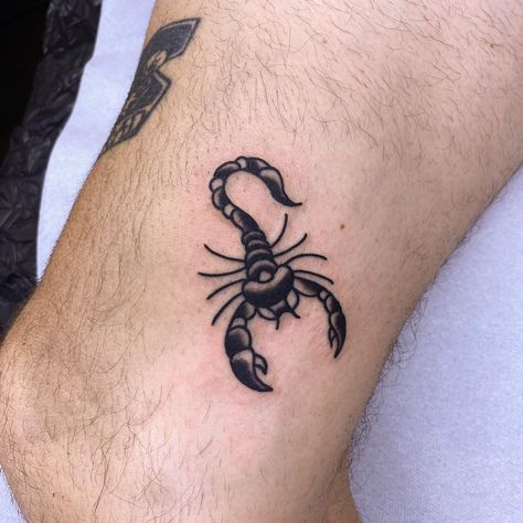 Rottweiler Traditional Tattoo, Scorpio Tattoo American Traditional, Scorpion Tattoo Flash, American Traditional Scorpion Tattoo Design, Scorpion Trad Tattoo, Traditional Style Scorpion Tattoo, Scorpion Tattoo Traditional Black, Traditional Scorpion Tattoo, Old School Traditional