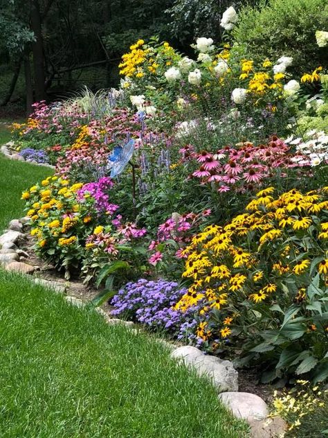 Front Porch Perrenial Garden, Blackeyed Susans Flowers Landscaping, Black Eyed Susans Landscaping, Black Eyed Susan Garden Ideas, Full Sun Garden Ideas Landscaping, Planting Black Eyed Susans, Cone Flowers Landscaping, Sunflower Circle Garden, Cone Flower Garden