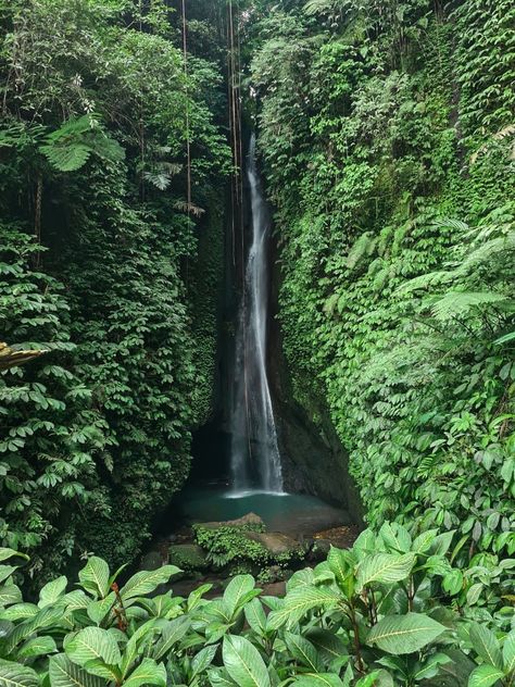 Leke Leke Waterfall Bali, Waterfall Bali, Bali Waterfalls, Bali Baby, Jungle Life, Bali Vacation, Small Waterfall, 2024 Vision, Magical Places