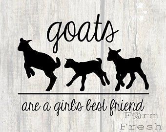 Goat Quote, Milk Ideas, Best Friend Quote, Goat Svg, Flower Bandana, Bandana Svg, Friend Quote, Cameo Crafts, Goat Kidding