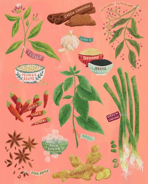 Hao Bao Collection: Herbs & Spices - illustration. Showcasing a selection of ingredients that add a punch distinctive flavor in Taiwanese cuisine, such as: star anise, green onions, ginger, garlic, cinnamon, basil, and more. Spice Illustration, Ginger Illustration, Ingredient Illustration, Spices Illustration, Cinnamon Basil, Herbs Illustration, Taiwanese Cuisine, Herbs Spices, Cinnamon Spice