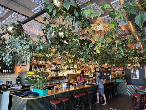 A Portland bar/restaurant/plant paradise lands on a list of the best bars in the country Theatre Building, Cozy Bar, Watering Hole, Mostly Sunny, Hey Love, Best Bars, Oregon Travel, Hotel Bar, Bar Restaurant