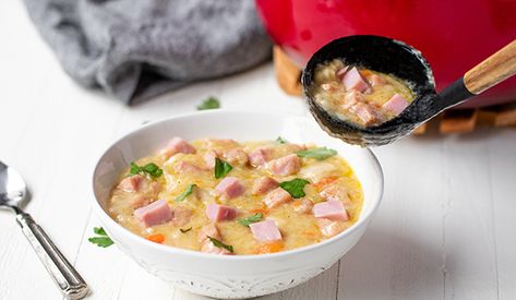 Ham and Dumpling Soup | Sugardale Dumpling Soup, Ham Recipe, Dumplings For Soup, Ham Recipes, Cream Of Chicken, Cream Of Chicken Soup, Chicken Soup, Fresh Parsley, Chicken Broth