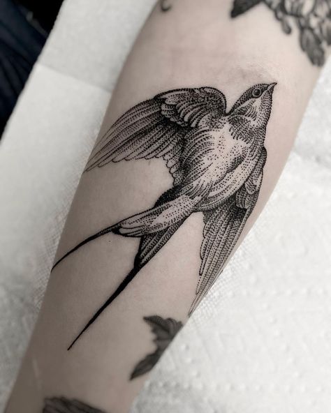 BRANDON BADRICK on Instagram: “⏰ 2.5 hours ⁣ ⁣ ⚫️All information is located at the top of my Instagram page in the story highlight section.⁣ ⁣ ⚫️To schedule an…” Swallow Tattoo Design, Flower Tattoo On Ribs, Filigree Tattoo, Tattoo Dotwork, Swallow Tattoo, Western Tattoos, Inspiration Tattoos, Flash Tattoo Designs, Red Ink Tattoos