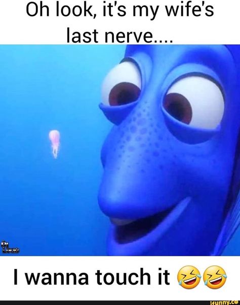 Dory Memes, Best Hacks, Mermaid Lagoon, Detective Agency, Private Investigator, Disney Memes, Twisted Humor, Nerve, Popular Memes