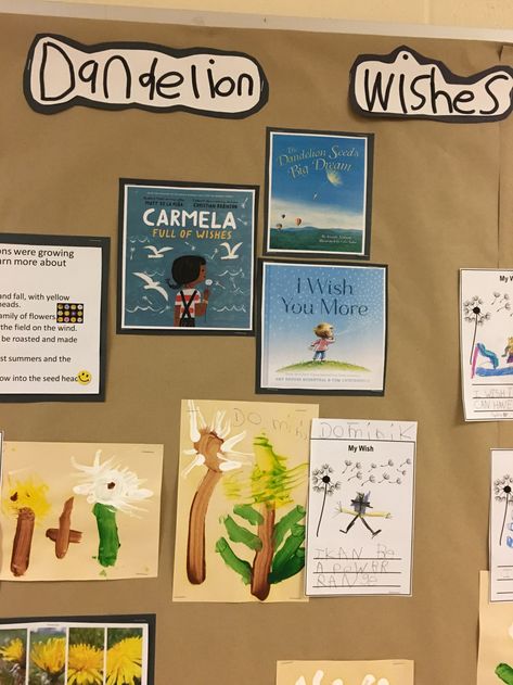 Reggio Literacy, Documentation Ideas, Reggio Provocations, Tree Unit, Firefly Forest, Kindergarten Inquiry, Kindergarten Goals, Daycare Rooms, Reggio Inspired Classrooms