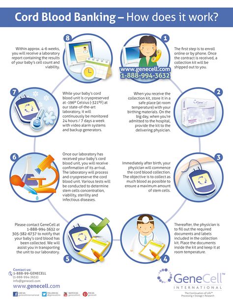 What Is Stem, Placenta Encapsulation, Cord Blood Banking, Blood Bank, Regenerative Medicine, 8th Sign, Flow Chart, Dad Life, Stem Cells