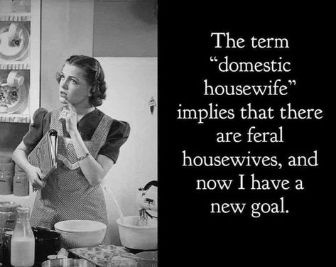 Housewife Quotes, Side Hussle, Morning Humor, Twisted Humor, Bones Funny, Really Funny, Bumper Stickers, I Laughed, The Kitchen