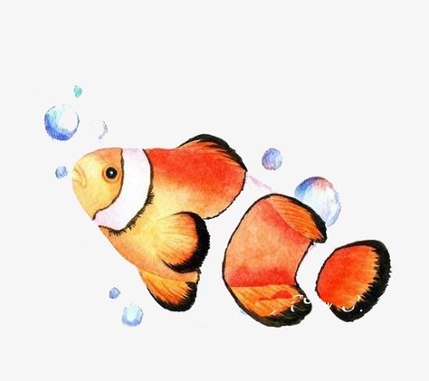 Nimo Fish, Fish Png, Fish Watercolor, Fish Clipart, Watercolor Fish, Watercolor Png, Small Fish, Painting Inspo, Clown Fish