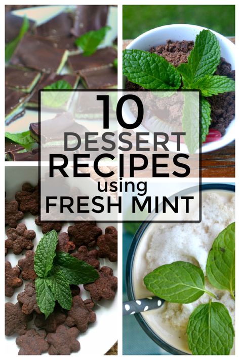 Chocolate Mint Recipes Fresh, Recipes With Chocolate Mint Leaves, Peppermint Recipes Fresh, Fresh Mint Desserts, Fresh Peppermint Uses, Fresh Peppermint Recipes, Fresh Mint Recipes Dessert, Things To Make With Mint Leaves, Fresh Mint Uses