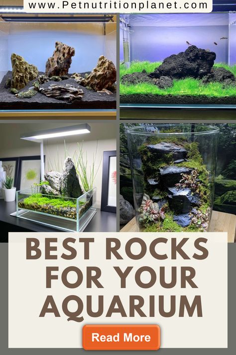 Rock Aquarium Ideas, Aquarium Stones Decoration, Aquascape Design Rocks, Fish Tank Set Up Ideas, Aquarium Ideas Decoration, Aquarium Rockscape, Fish Tank Ideas Decorations, Aquarium Decor Ideas, Decorated Pies