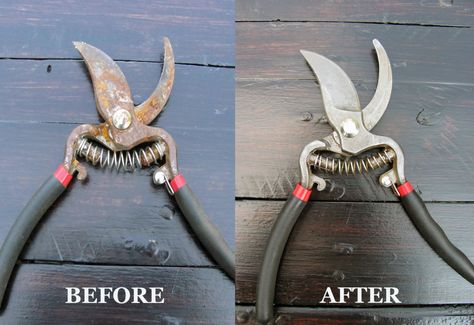 Clean Garden Tools, Rusty Garden, Garden Shears, Pruning Shears, Lawn And Garden, Household Hacks, Garden Projects, Garden Inspiration, Vegetable Garden