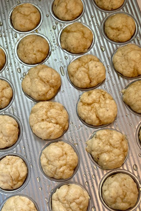 These cottage cheese mini muffins are the perfect little snack or meal for babies and toddlers. Higher protein and have fiber! Cottage Cheese Pancake Muffins, Cottage Cheese Mini Muffins, Mini Muffins For Babies, High Calorie Toddler Snacks, High Protein Mini Muffins, Cottage Cheese For Babies, Protein Toddler Snacks, Mini Protein Muffins, Protein Toddler Meals