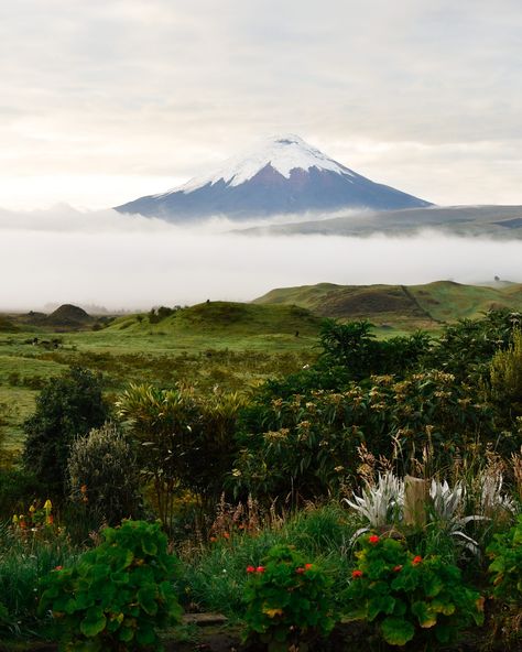 Ecuador Mountains, Ecuador Nature, Ecuador Landscape, Ecuador Photography, Costa Rica Nature, Cotopaxi Volcano, Nature Photography Tips, Ecuador Travel, Beyond The Sea