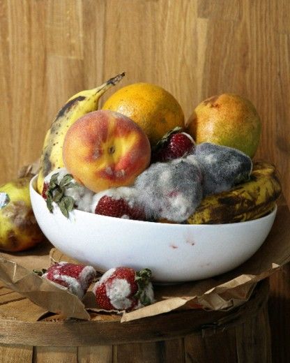 MoMA | New Photography 2010 | Roe Ethridge | Old Fruit Fruit Bowl Photography, Bowl Photography, Drawing Fruit, Fruit Bowl Display, Bowl Display, Rotten Fruit, Photography Still Life, Fruits Drawing, Fruit Displays