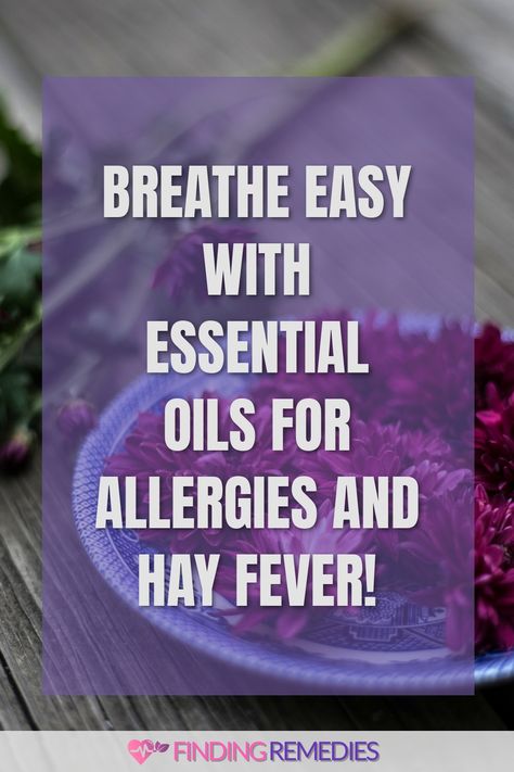 Breathe Easy with Essential Oils for Allergies and Hay Fever! Essential Oil Allergy Relief Diffuser, Essential Oils For Allergies Diffuser, Cedar Fever Remedies, Essential Oils For Allergies, Hayfever Remedies, Oils For Allergies, Seasonal Allergy Relief, Relieve Sinus Congestion, Essential Oils Allergies