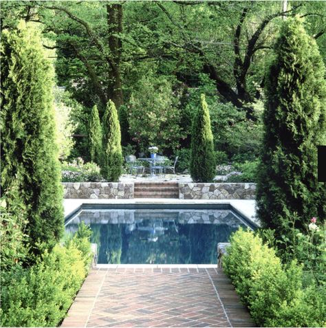 Visual Vamp, Small Inground Pool, Dusty Miller, Beautiful Pools, Inground Pools, Garden Pool, Outdoor Swimming, Gorgeous Gardens, Pool Landscaping