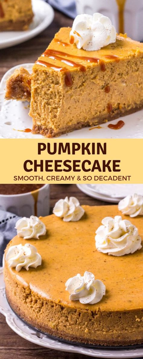 This Pumpkin Cheesecake is the perfect dessert for fall & Thanksgiving. It's smooth and creamy with a delicious pumpkin spice flavor and cinnamon graham cracker crust. Serve it with salted caramel sauce and whipped cream for an extra decadent dessert #pumpkin #thanksgiving #dessert #cheesecake #pumpkincheesecake Cinnamon Graham Cracker Crust, Thanksgiving Cheesecake, Pops Recipes, Dessert For Fall, Easy Cakes, Biscuits Graham, Pumpkin Cheesecake Recipes, Bon Apetit, The Cheesecake Factory