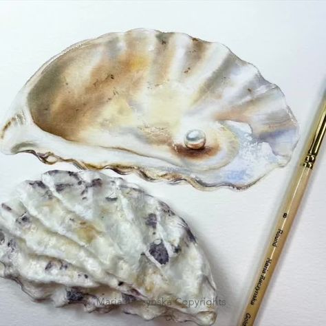 Watercolor Oyster, Teaching Watercolor, Pearl Paint, Watercolor Video, Painted Shells, Oyster Pearl, Art Diary, Watercolor Artist, Beauty Accessories