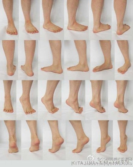 Leg Reference, Feet Drawing, Anatomy Tutorial, Anatomy Poses, Anatomy For Artists, Hand Reference, Human Reference, Body Anatomy, Poses References