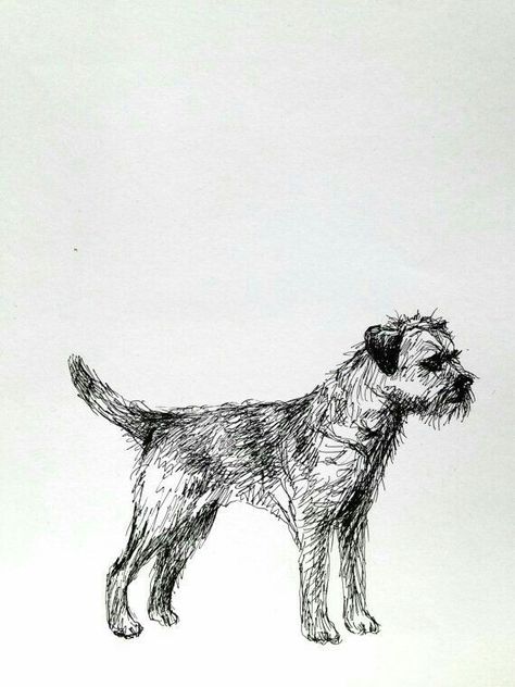 Border Terrier sketch... Valerie Davide, Dogs Sketch, Sketch Ink, Dog Sketch, Border Terrier, Best Dog Breeds, Brown Dog, Ink Sketch, Dog Images