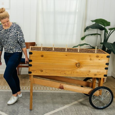 Follow our step-by-step guide to build your own planter on wheels. #dunndiy #rollingplanter Portable Planter Boxes, Movable Planter Boxes, Raised Bed On Wheels, Mobile Planter Boxes, Herb Garden Planter Boxes, Garden On Wheels, Raised Garden Bed On Wheels, Planter On Wheels, Raised Garden Beds On Wheels