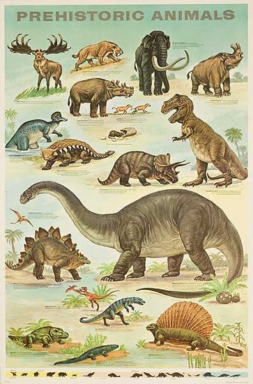 Prehistoric Wildlife, Dinosaur Posters, Dinosaur Pictures, Dinosaur Illustration, Prehistoric World, Jurassic World Dinosaurs, Ancient Animals, Dinosaur Coloring, Paleo Art