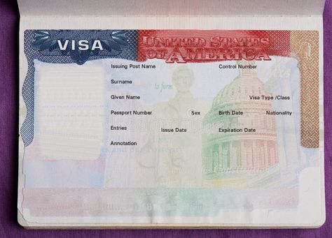 American Visa, Blank Id Cards, Visa Americana, United States Passport, Passport Template, Passport Number, Passport Card, Visa Online, School Id