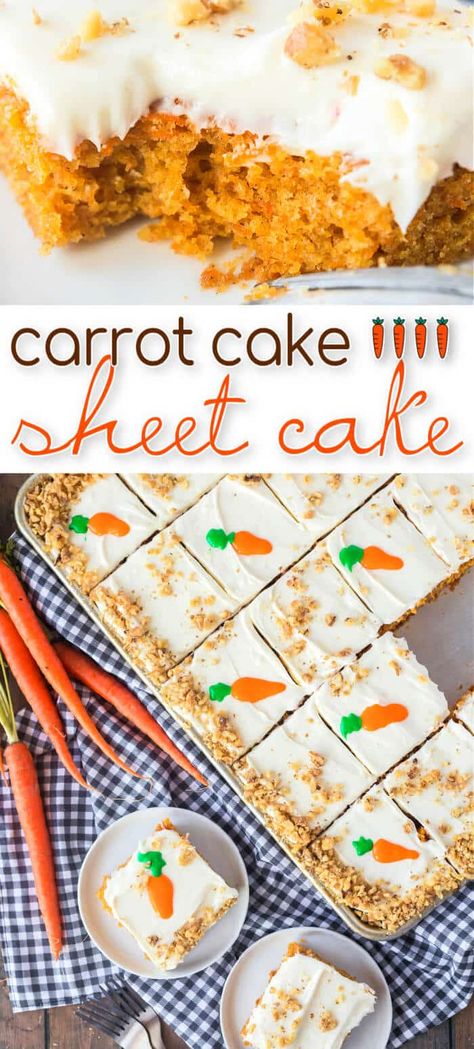 BEST CARROT CAKE SHEET CAKE Carrot Cake Recipe For Easter, Carrot Cake Pie, Carrot Cake Desserts, Carrot Cake Sheet Cake, Carrot Sheet Cake Recipe, Carrot Cake Bars Recipe, Recipe Carrot Cake, 600lb Life, Easter Carrot Cake