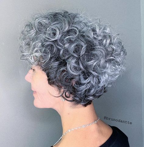 Pelo Bob Ondulado, Blonde Hair With Purple Tips, Medium Curly Haircuts, Short Permed Hair, Short Wavy Haircuts, Grey Hair Over 50, Grey Curly Hair, Short Haircut Styles, Curly Hair Photos