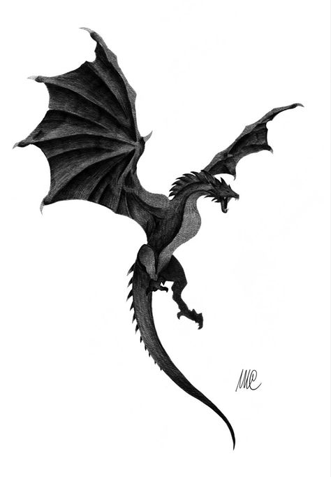 Dragon Tattoo Reference, Dragon Flying Drawing Reference, Black Dragon Flying, Flying Dragon Reference, Wyvern Tattoo Designs, Fantasy Dragon Flying, Dragon Flying Reference, Dragon Flying Up, Flying Dragon Illustration