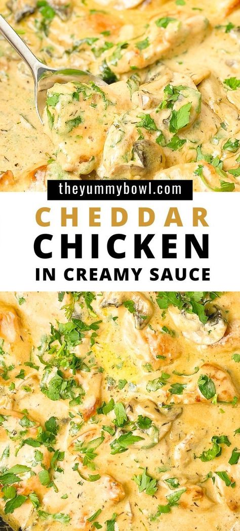 Cheddar Chicken is rich and flavorful and sure to be a hit in your family! #cheddarsauce #creamychicken #creamysauce Cheddar Chicken Recipes, Cheesy Chicken Breast Recipes, Chicken And Cheddar Cheese Recipes, Cheesy Sauce For Chicken, Chicken In Cheese Sauce, Cheesy Chicken Thigh Recipes, Cheese Chicken Crockpot, Cheesy Cheddar Chicken, Chicken Breast Heavy Cream Recipes