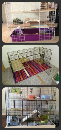 How to build a bunny condo. Video included. Indoor Bunny Habitat, Bunny Habitat, Bunny Condo, Build A Bunny, Indoor Bunny, Diy Bunny Toys, Cavy Cage, Rabbit Hutch Plans, Diy Rabbit Cage